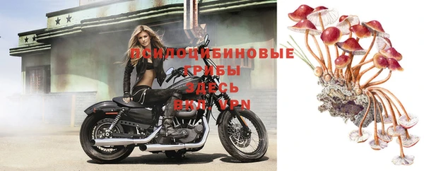 шишки Красноперекопск